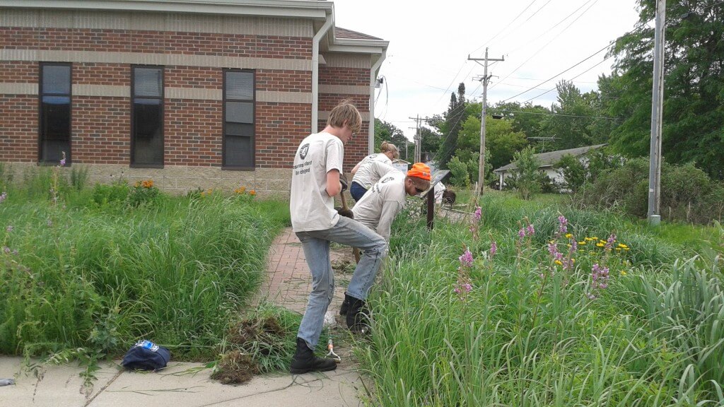 Conservation Corps Helps With Milaca Library Rain Garden Maintenance