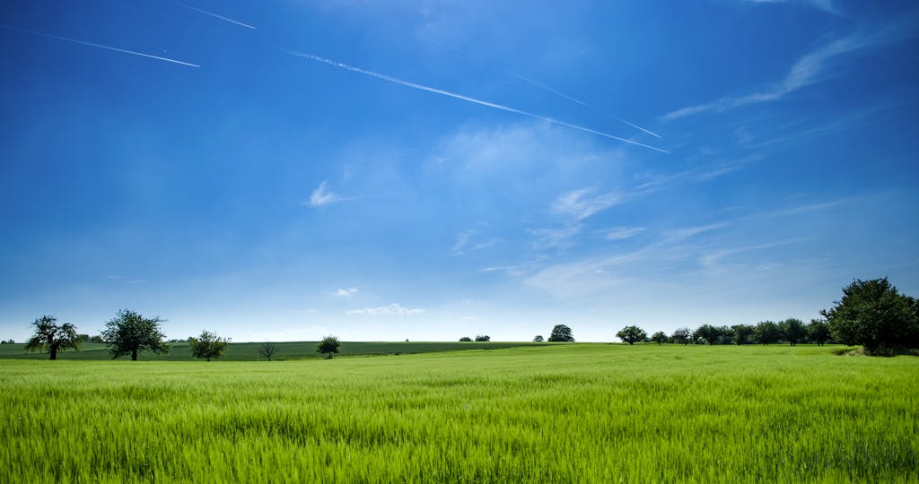 Panoramic Photography of Green Field